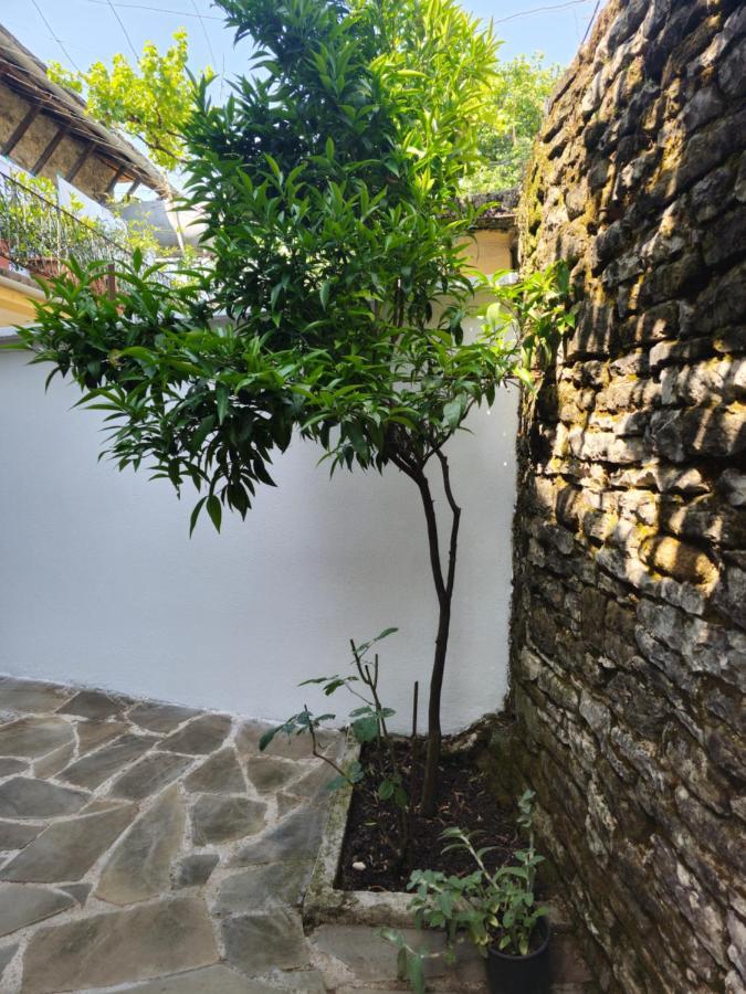 Traditional House Shapllo Gjirokaster Exterior photo